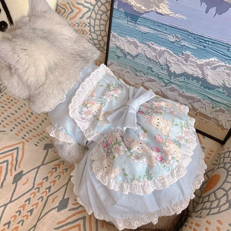 Lace Teddy Lingerie - ชุดเดรสผ้ากันเปื้อนน่ารักสำหรับสัตว์เลี้ยงชุดเดรสสุนัขลายดอกไม้สีชมพูชุดเดรสสำหรับลูกสุนัขสำหรับสุนัขชุดเดรสผ้าลูกสุนัข